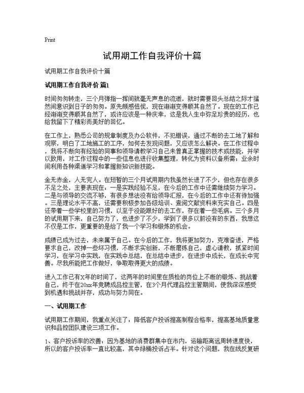 试用期工作自我评价十篇