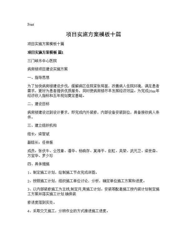 项目实施方案模板十篇