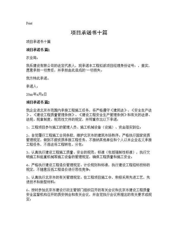 项目承诺书十篇