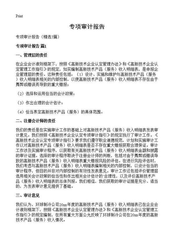 专项审计报告7篇