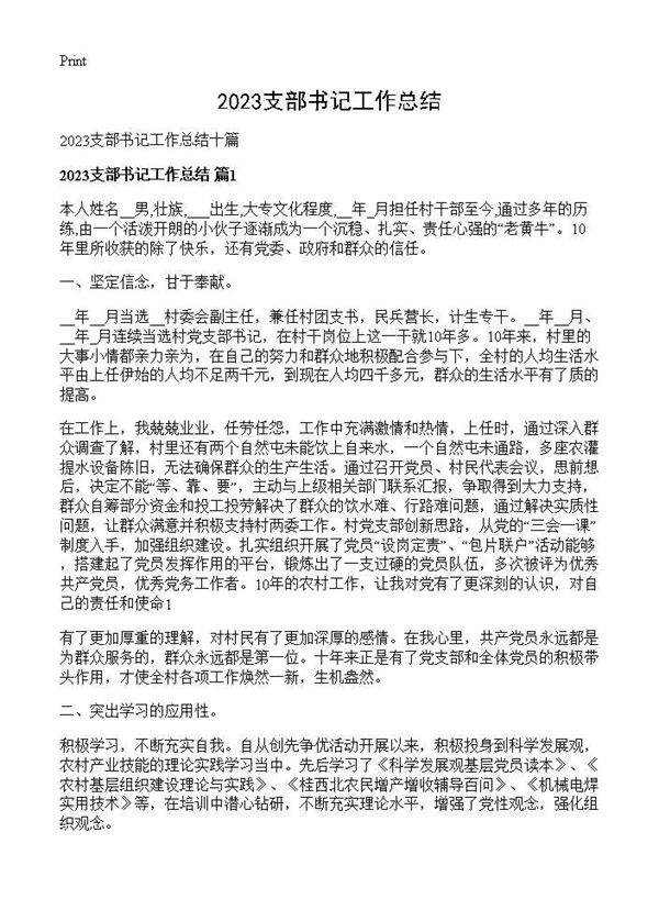 2025支部书记工作总结