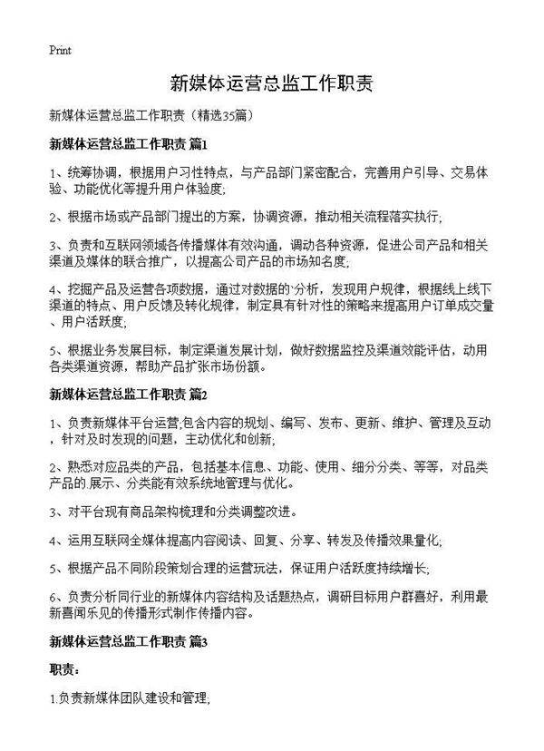 新媒体运营总监工作职责35篇