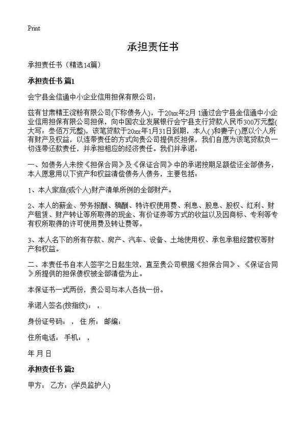 承担责任书14篇