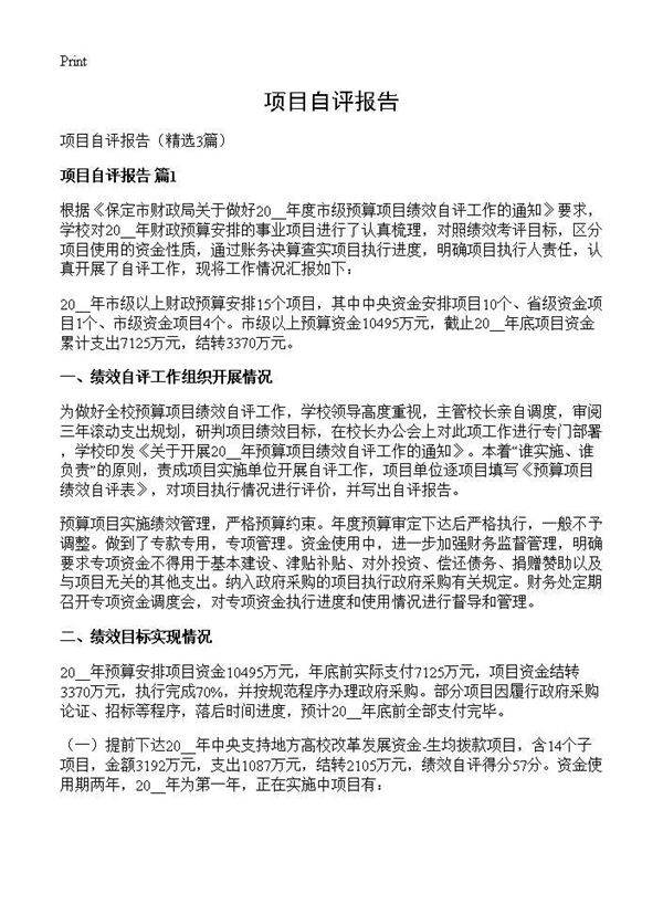 项目自评报告3篇