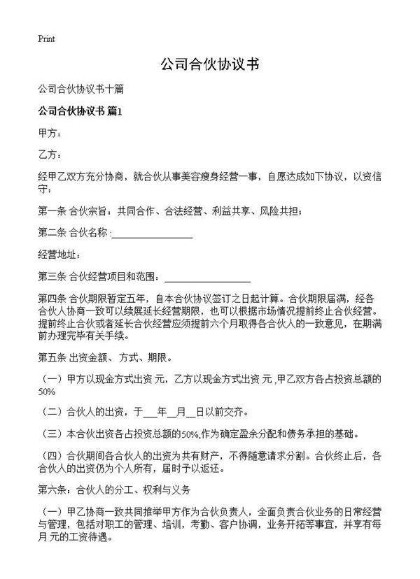 公司合伙协议书