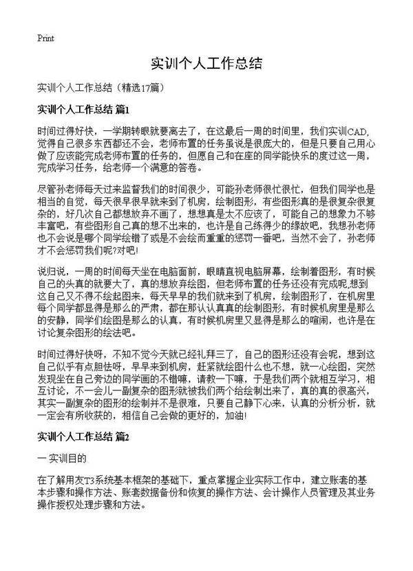 实训个人工作总结17篇