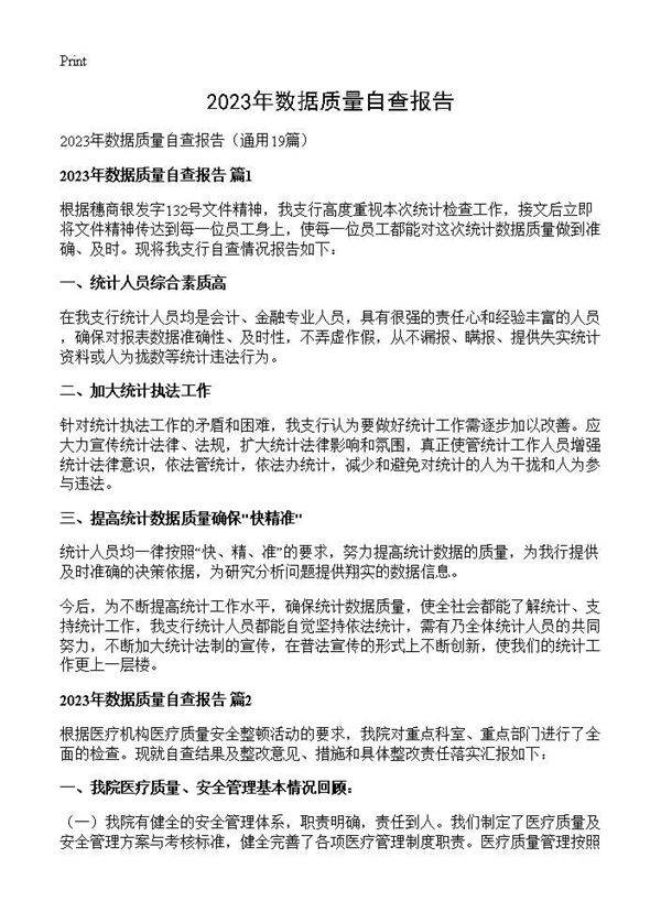 2025年数据质量自查报告19篇