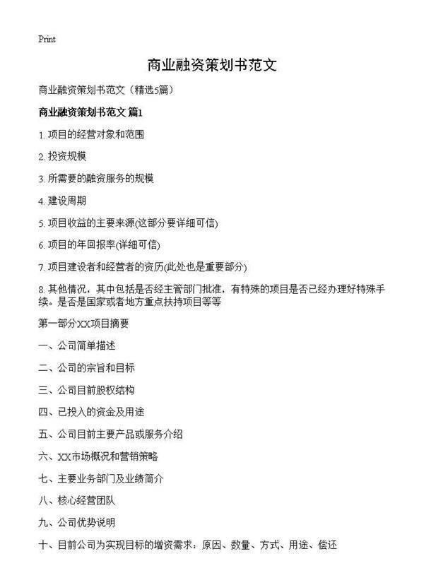 商业融资策划书范文5篇