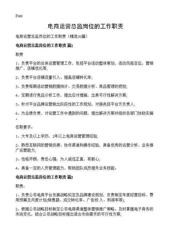 电商运营总监岗位的工作职责30篇