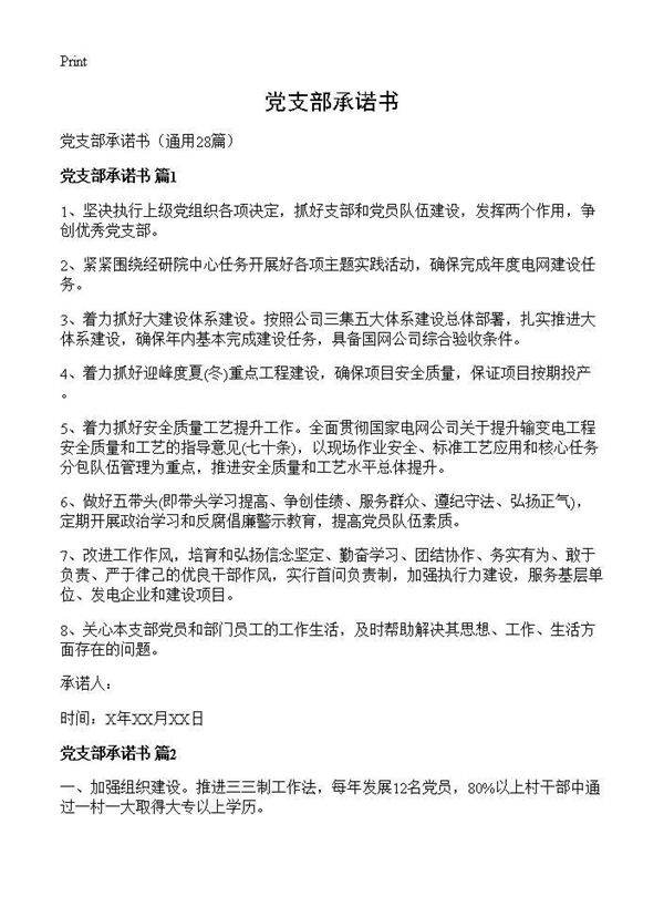 党支部承诺书28篇