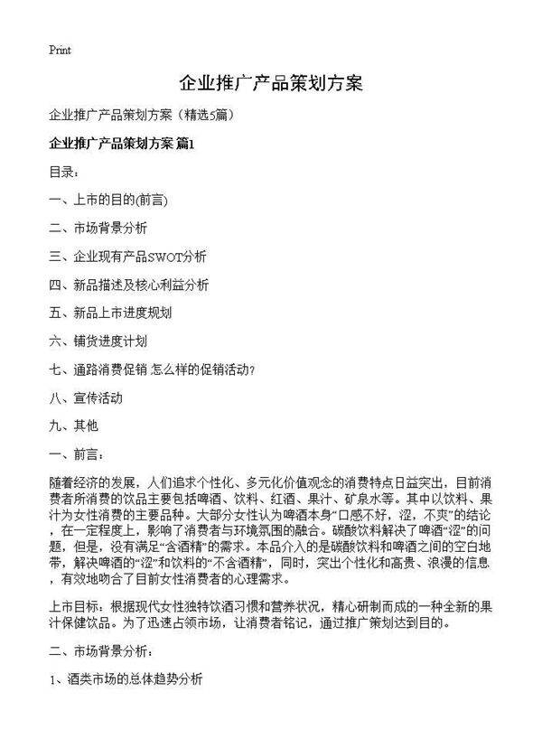 企业推广产品策划方案5篇