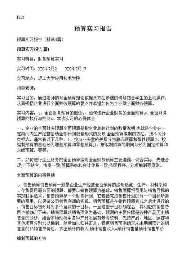 预算实习报告5篇