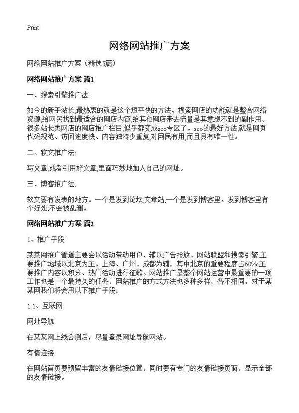 网络网站推广方案5篇