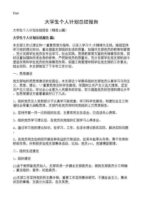 大学生个人计划总结报告16篇