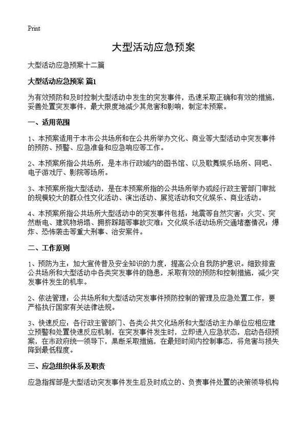 大型活动应急预案