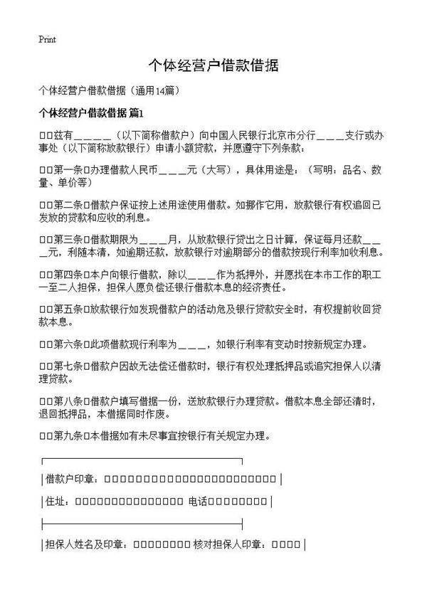 个体经营户借款借据14篇