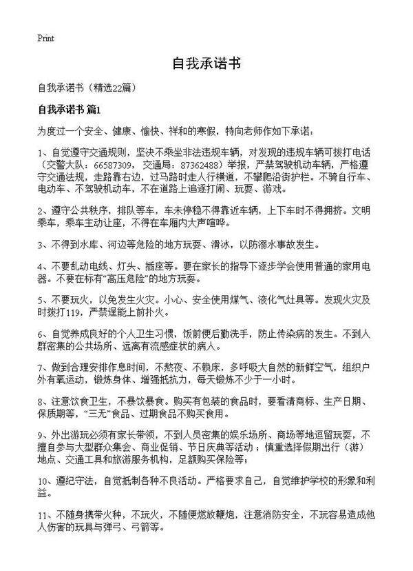 自我承诺书22篇