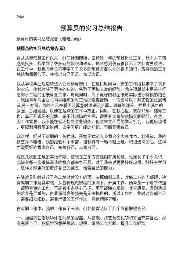预算员的实习总结报告10篇