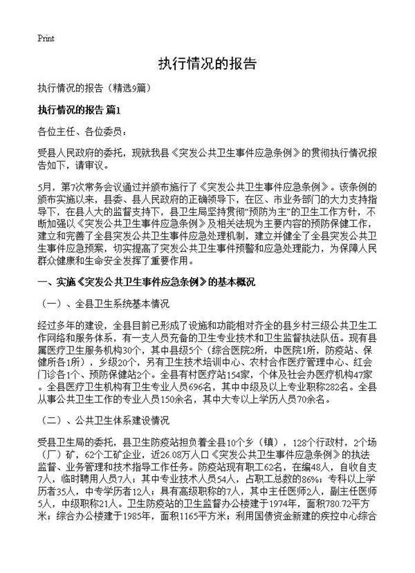 执行情况的报告9篇