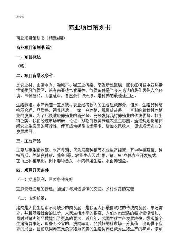 商业项目策划书6篇