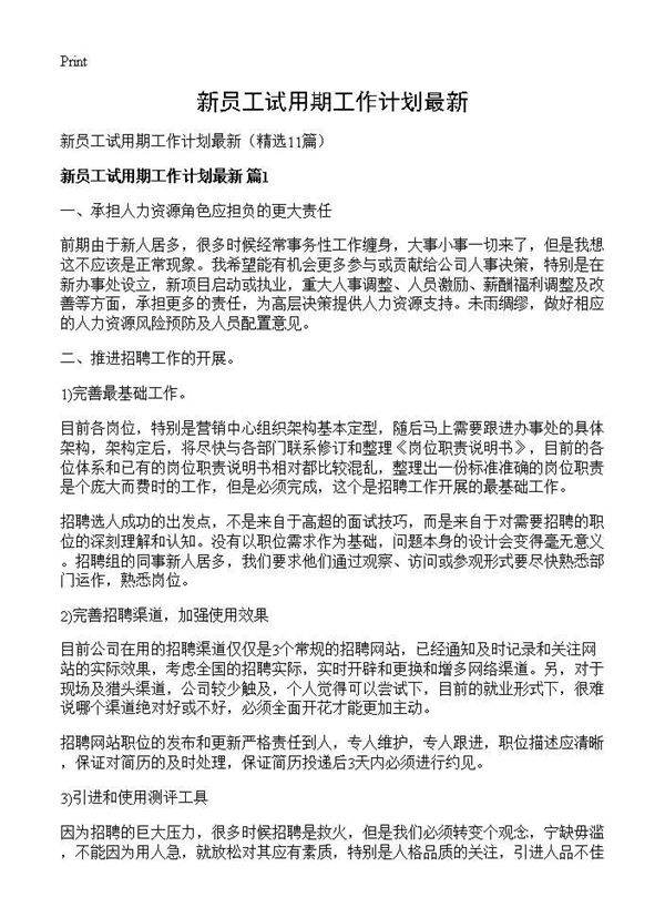 新员工试用期工作计划最新11篇