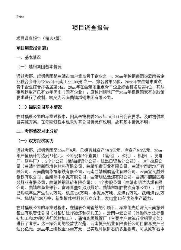 项目调查报告6篇