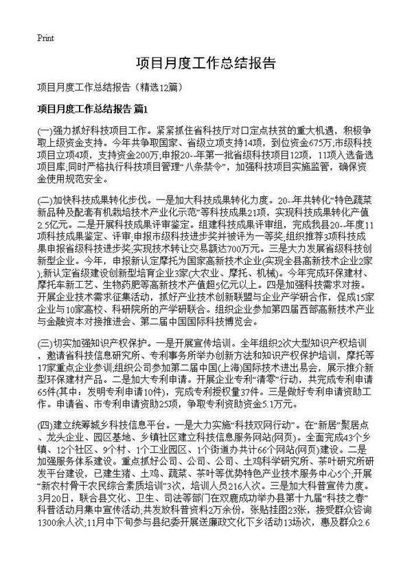 项目月度工作总结报告12篇