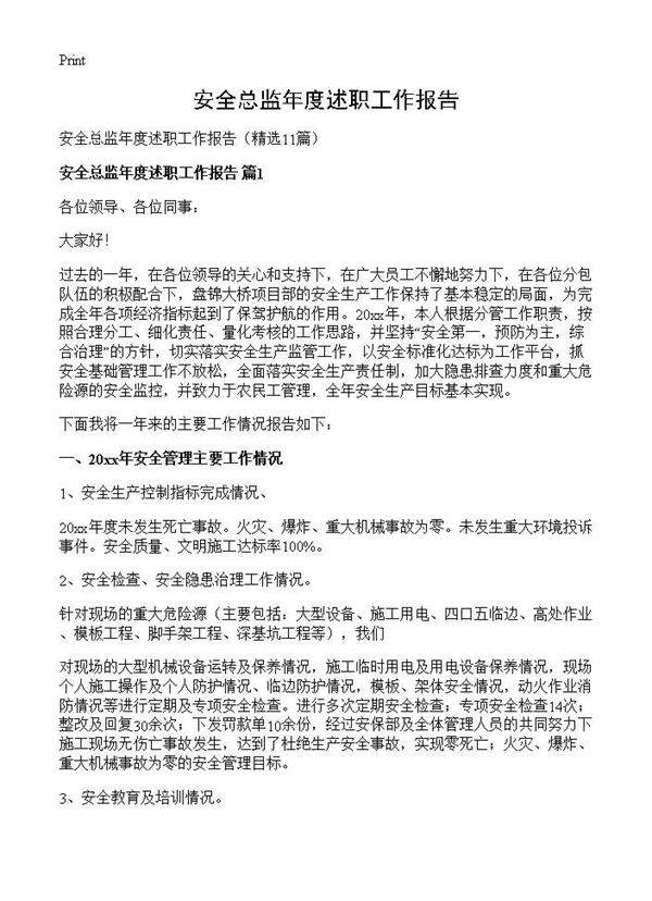 安全总监年度述职工作报告11篇