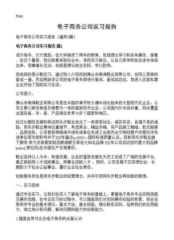 电子商务公司实习报告5篇