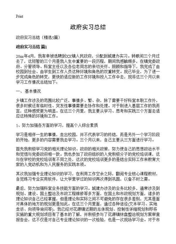 政府实习总结5篇