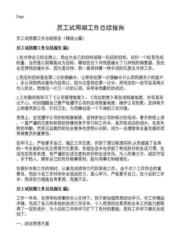 员工试用期工作总结报告20篇