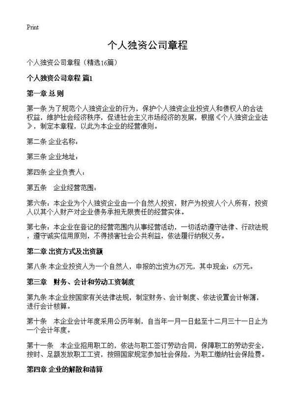 个人独资公司章程16篇