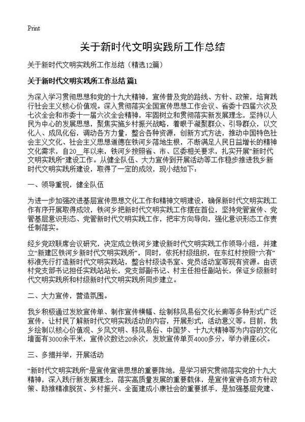 关于新时代文明实践所工作总结12篇