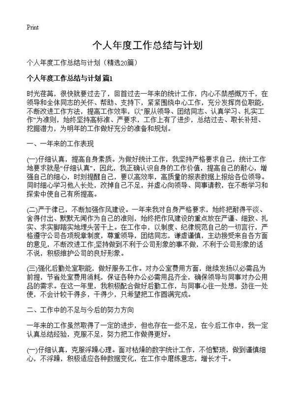 个人年度工作总结与计划20篇