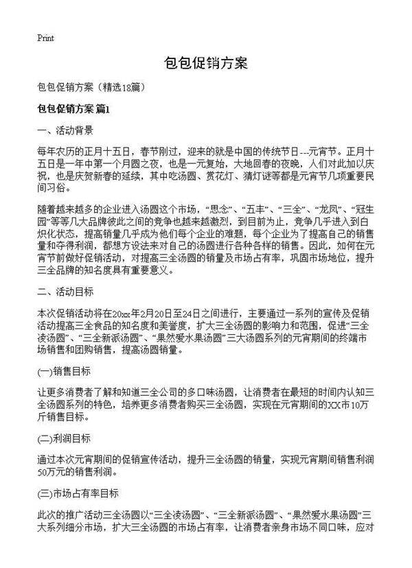 包包促销方案18篇