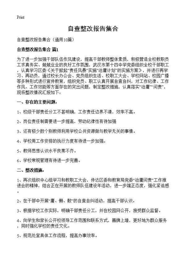 自查整改报告集合10篇