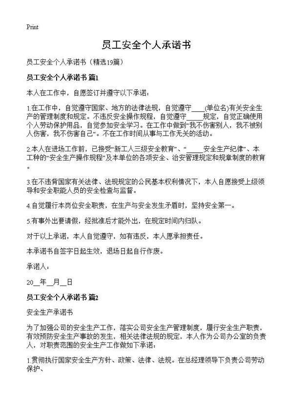 员工安全个人承诺书19篇