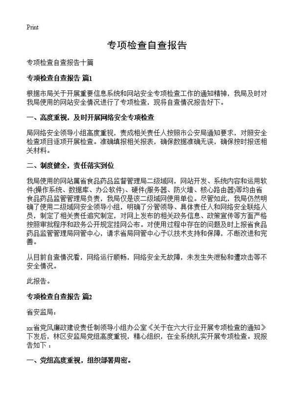 专项检查自查报告