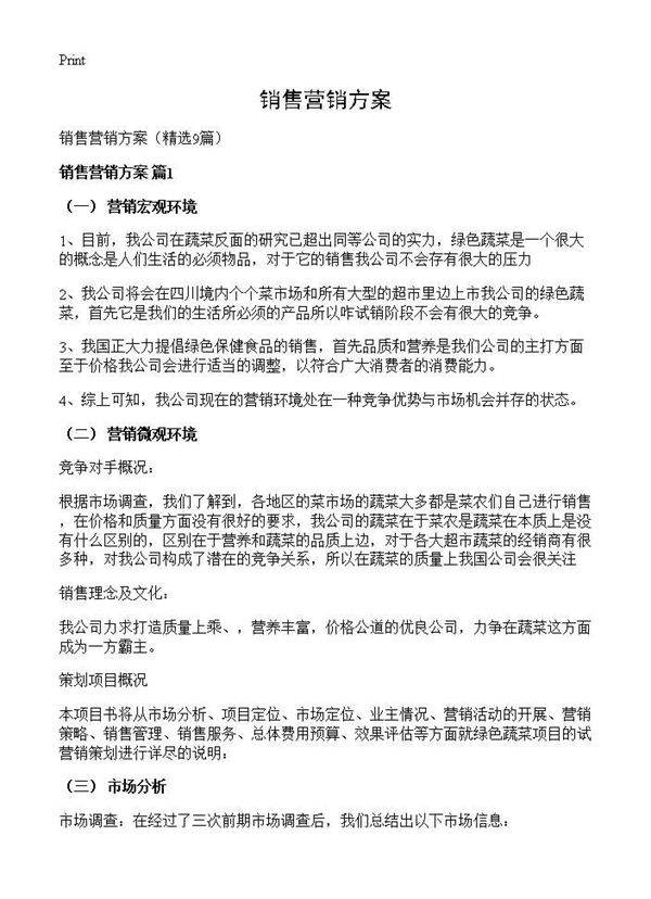 销售营销方案9篇