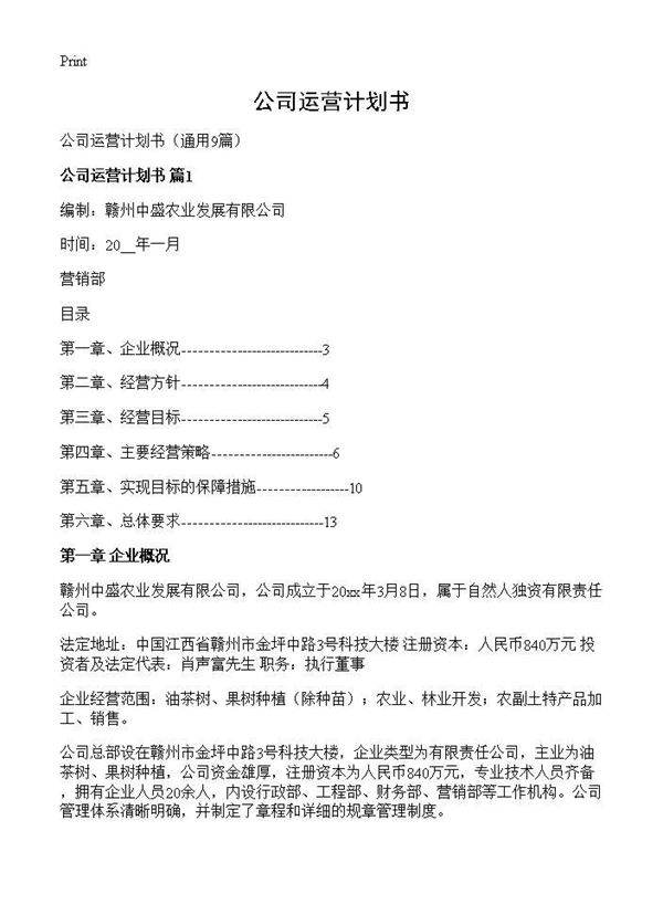公司运营计划书9篇