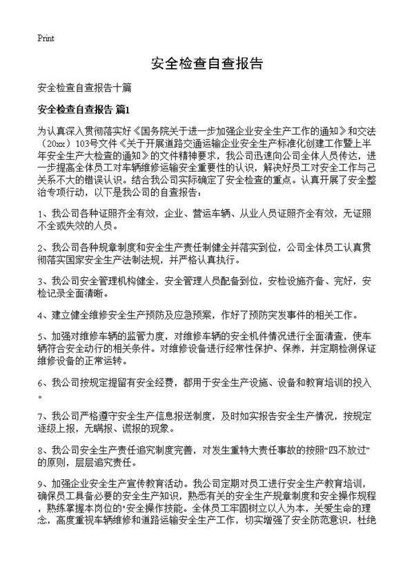 安全检查自查报告