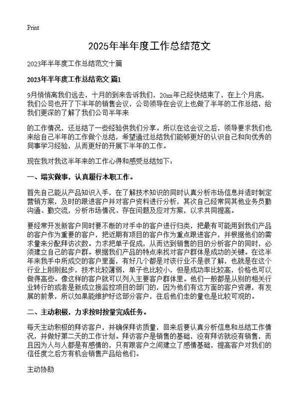 2025年半年度工作总结范文