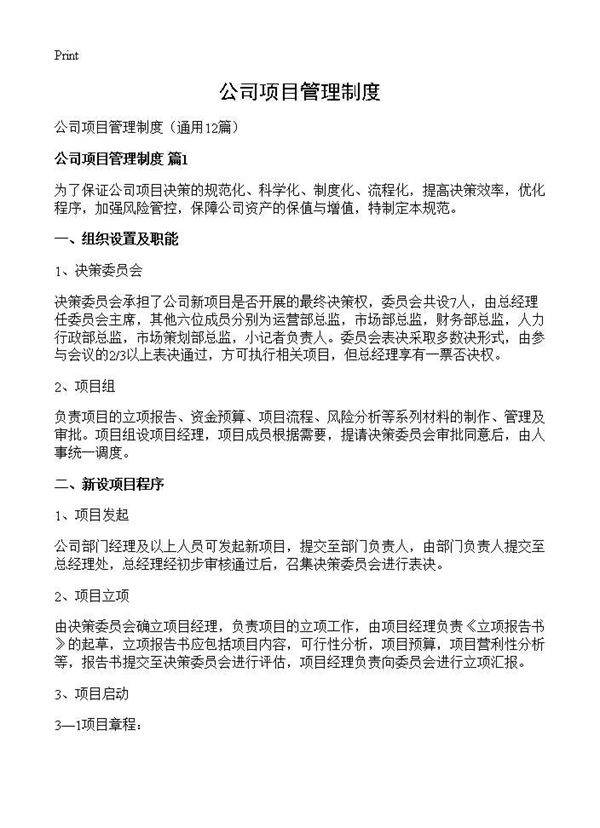 公司项目管理制度12篇