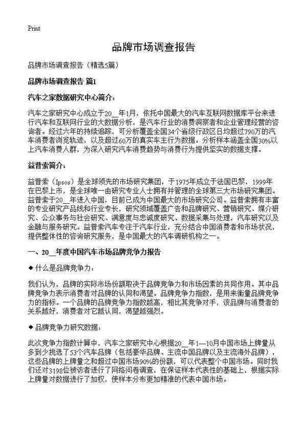 品牌市场调查报告5篇
