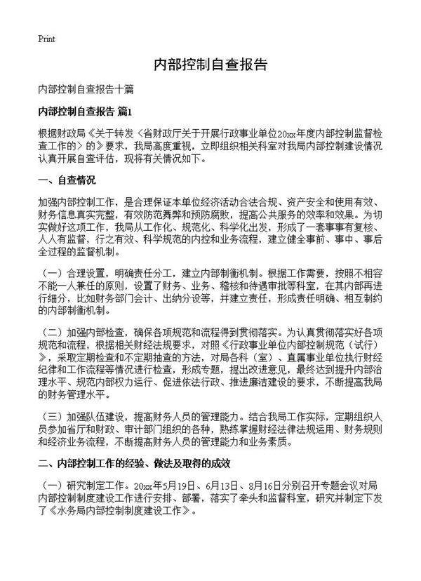 内部控制自查报告