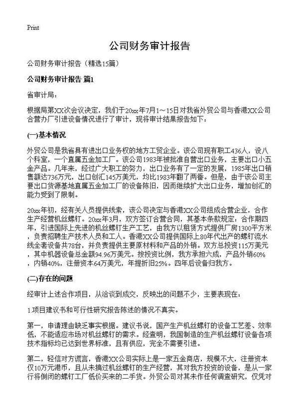 公司财务审计报告15篇