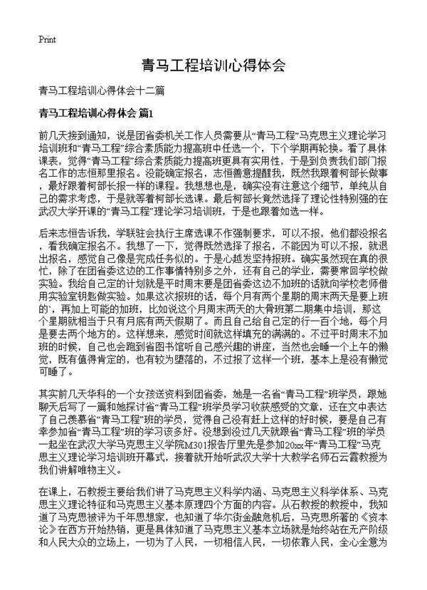 青马工程培训心得体会