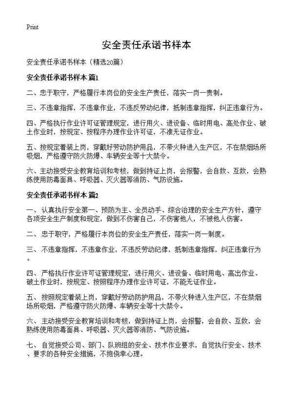 安全责任承诺书样本20篇