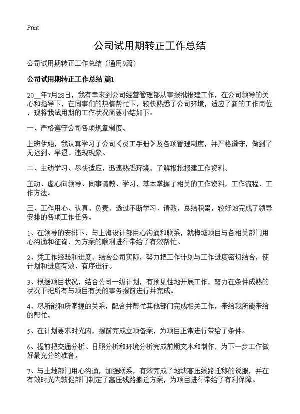 公司试用期转正工作总结9篇