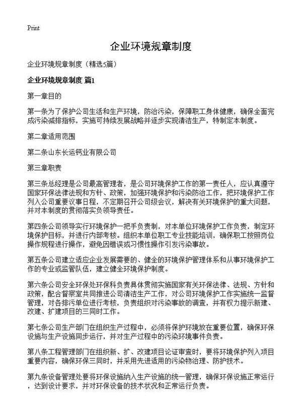 企业环境规章制度5篇